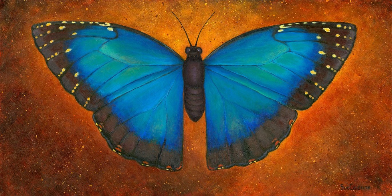 Morpho
