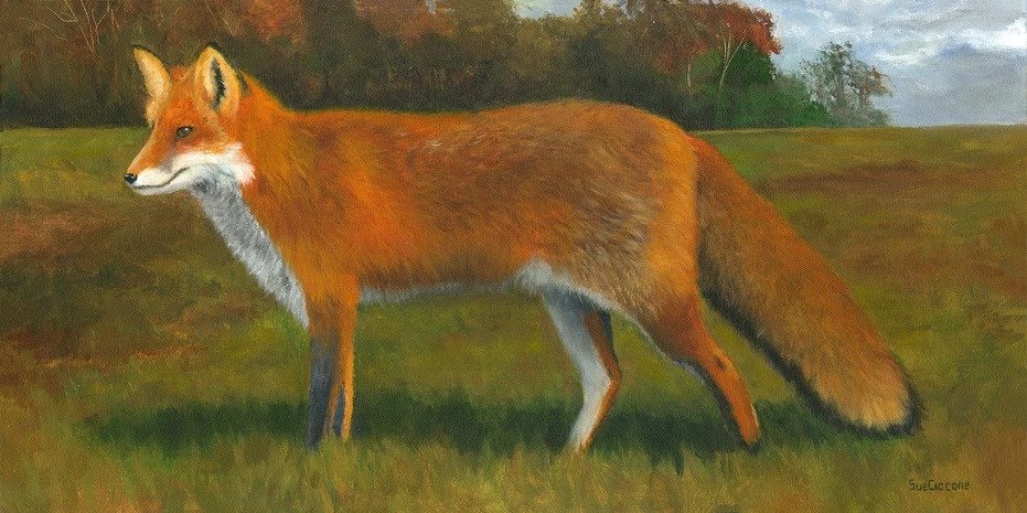Autumn Gaze