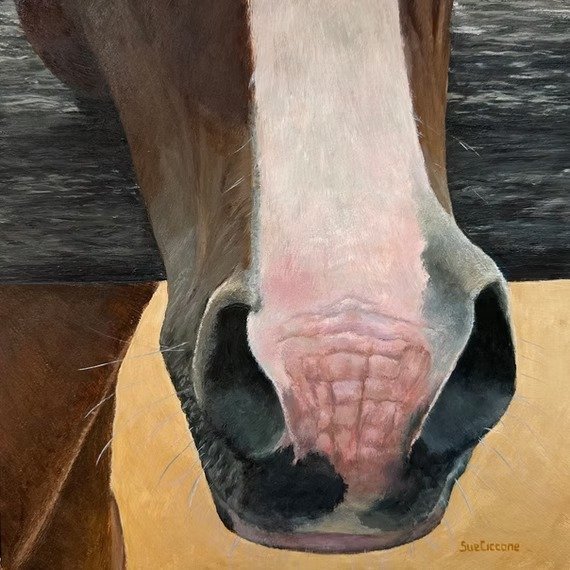 Velveteen Muzzle
