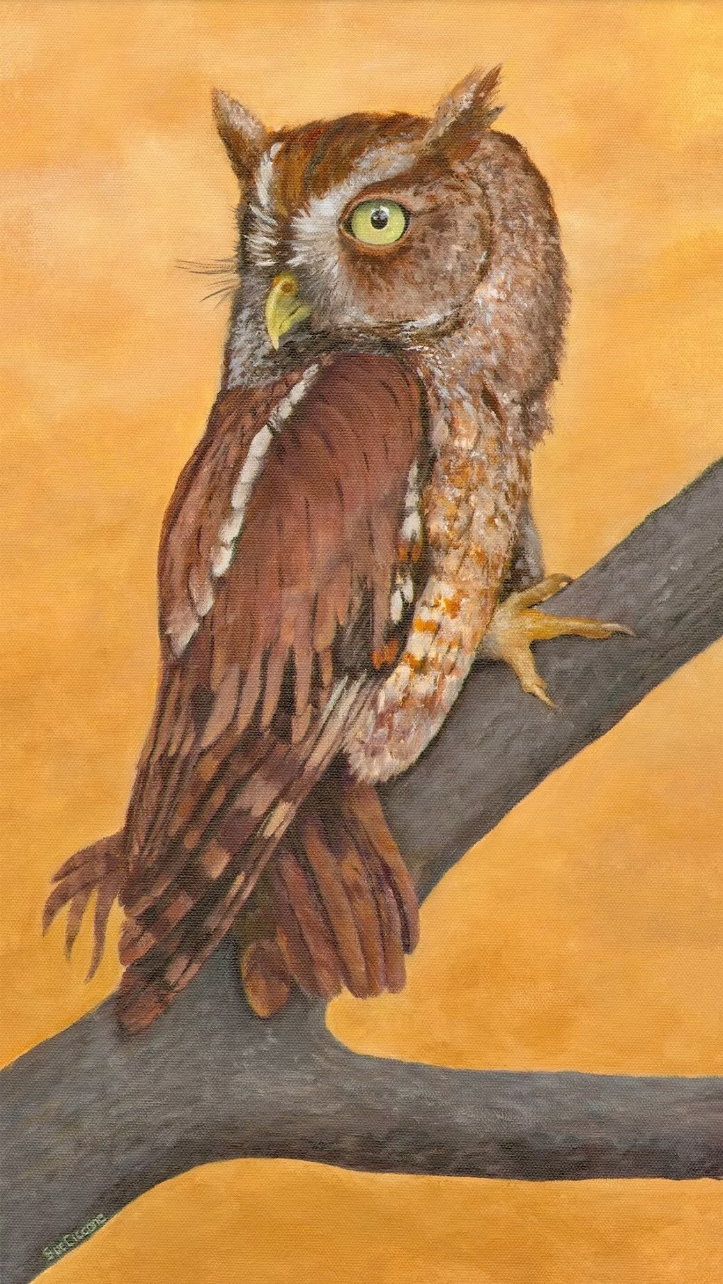 Lil Hoot