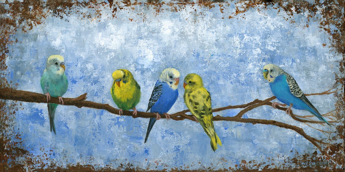 Budgie Buddies