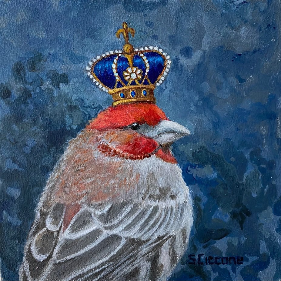 Royal Finch