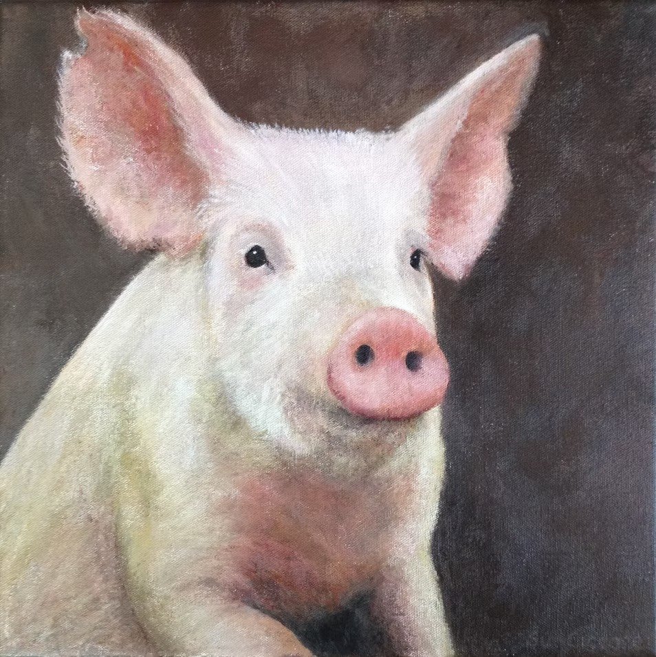Posing Pig