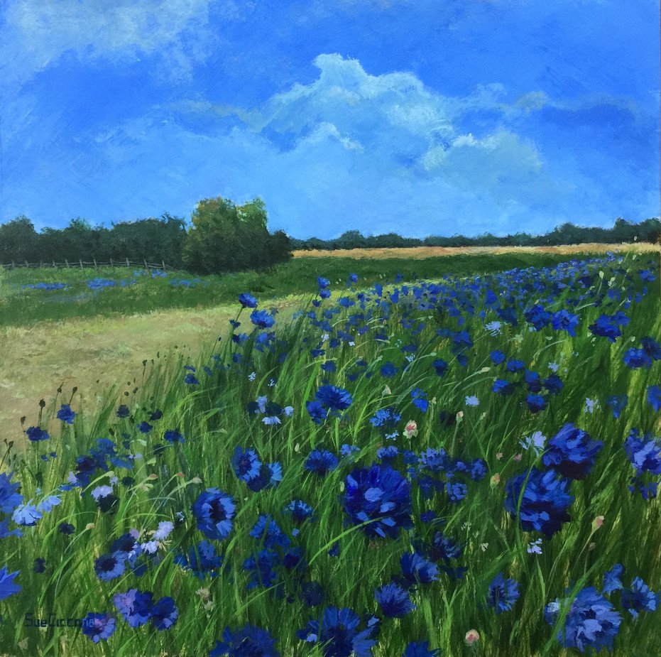 Field of Blue