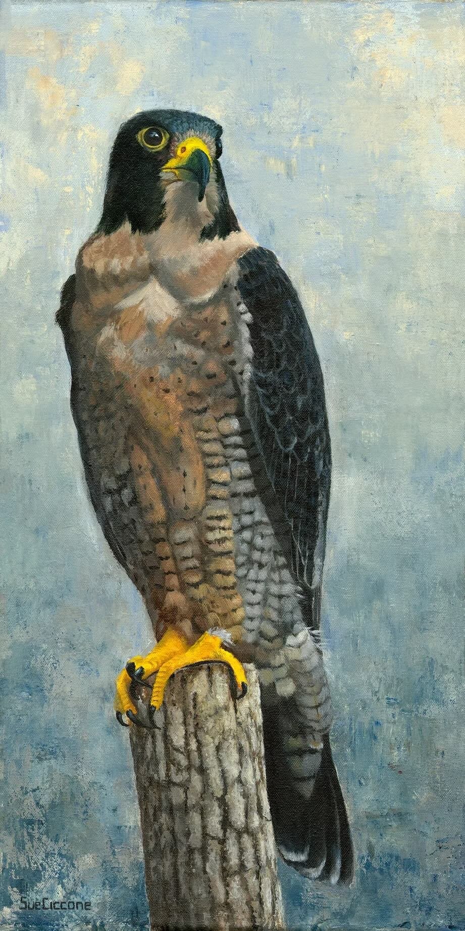 The Falcon