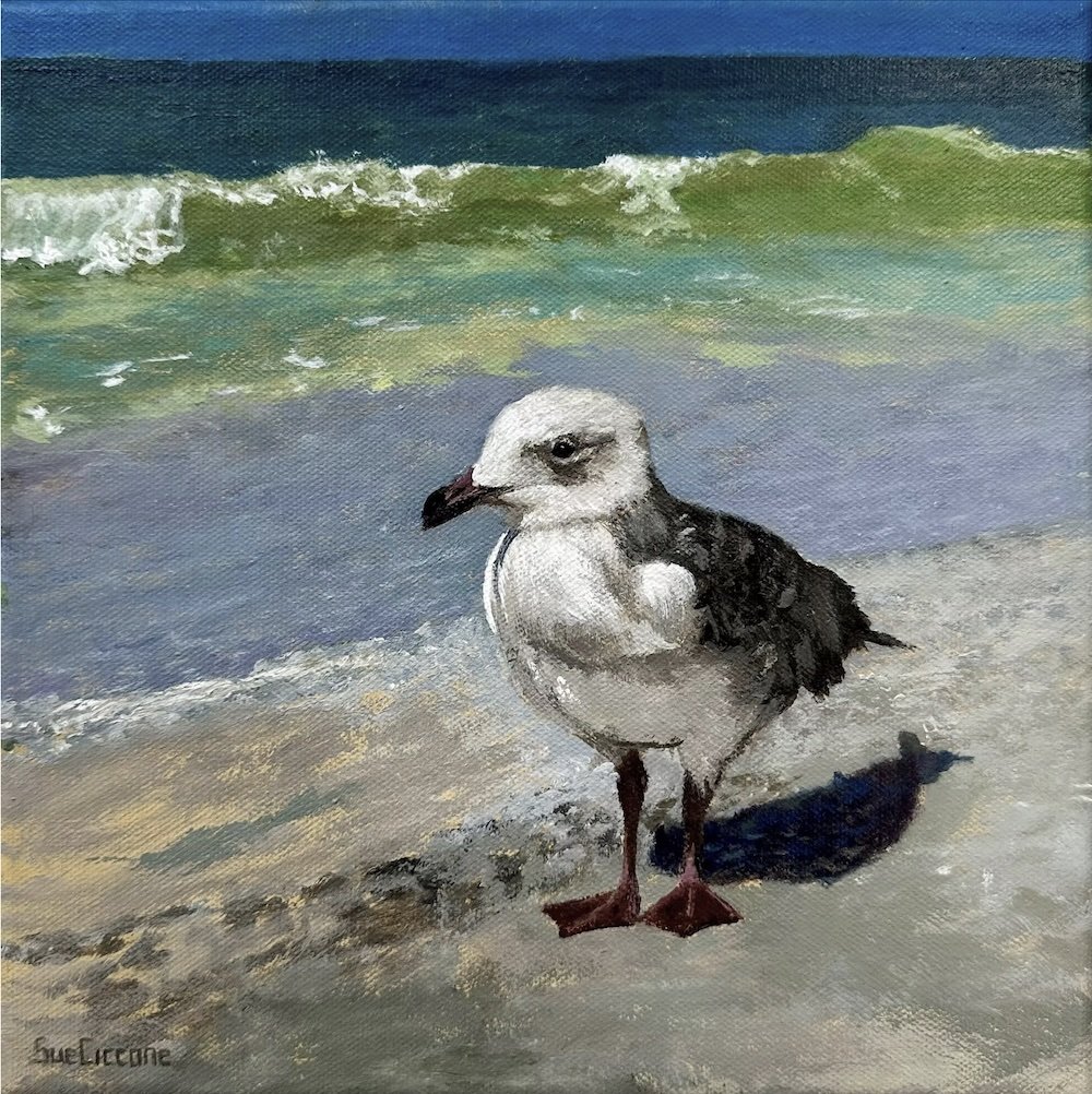 Beachcomber
