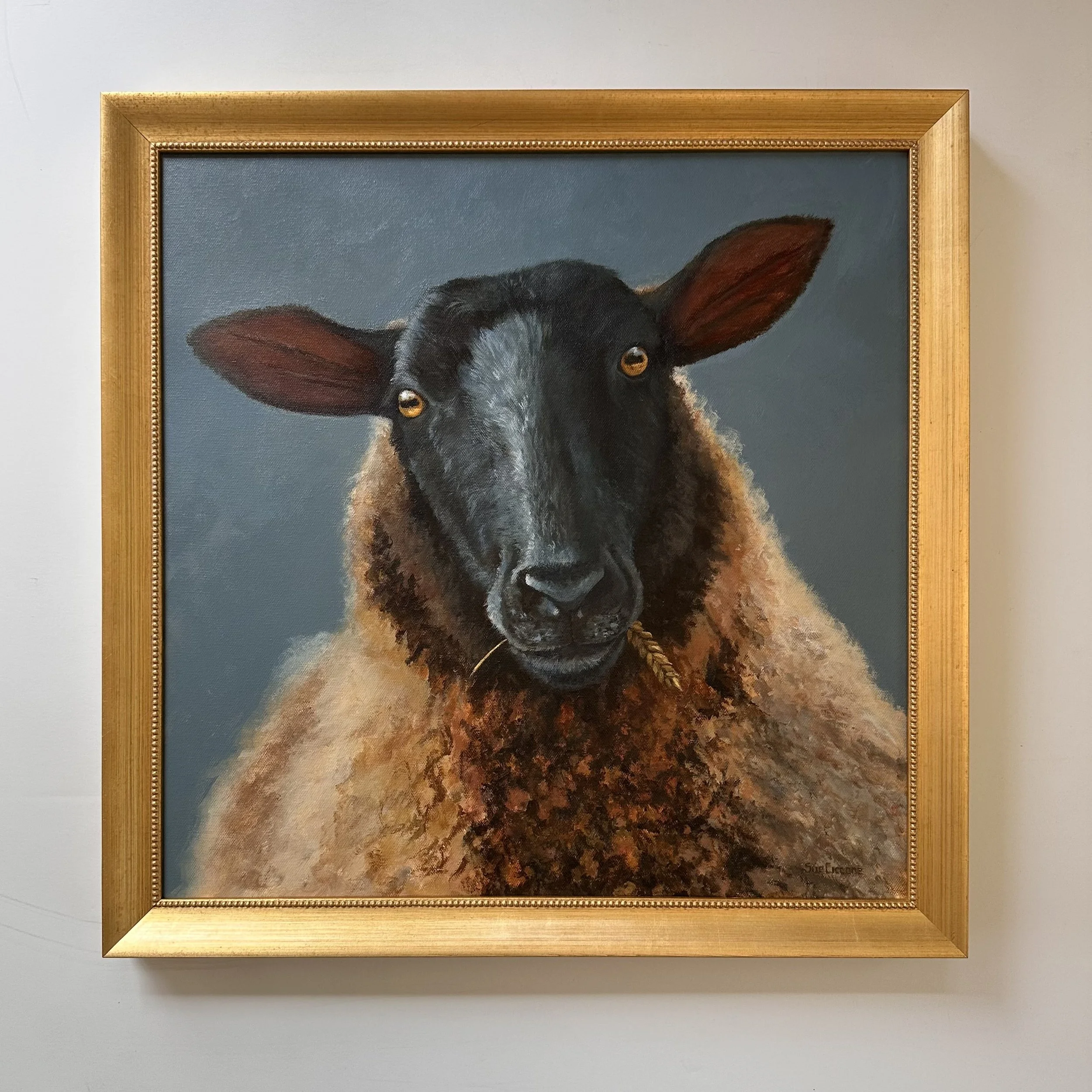 SHEEP - BABA - FRAMED.jpeg