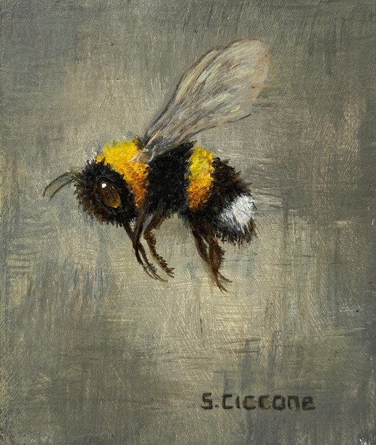 Cutesy Bee