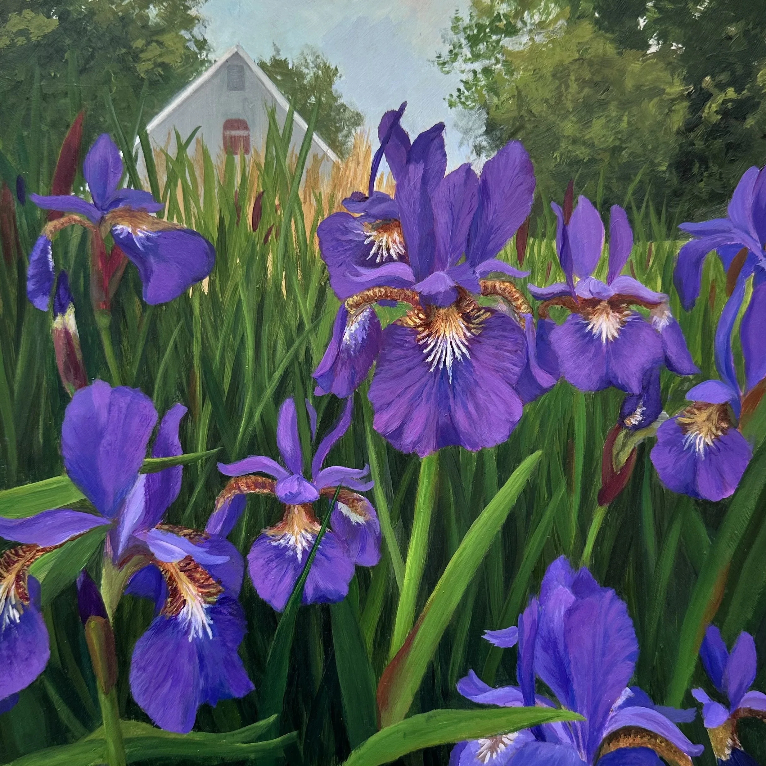 Garden Tour