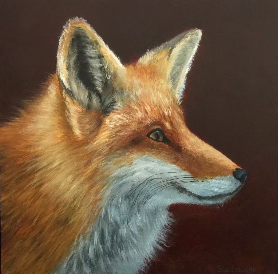 Fox