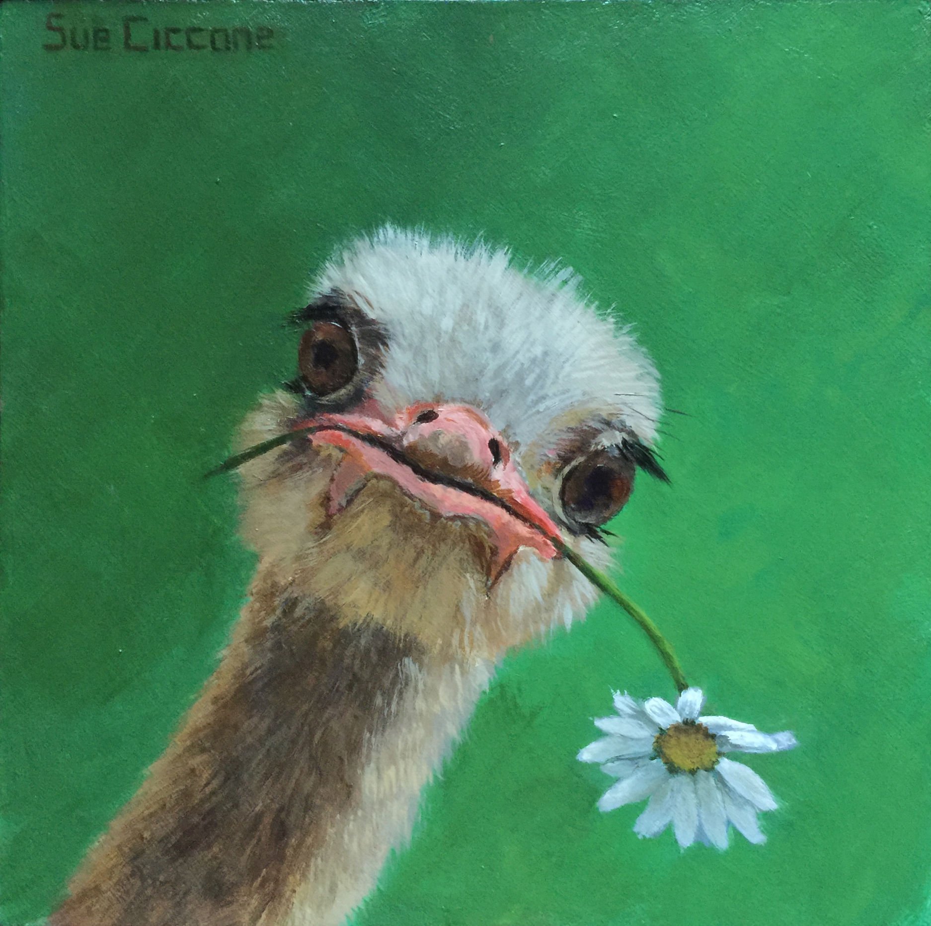 Daisy and Her Flower