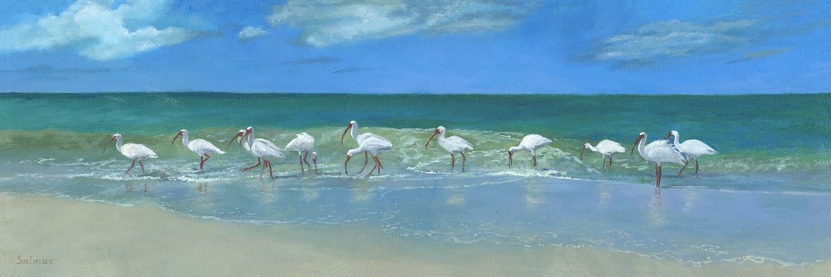 Gulf Parade