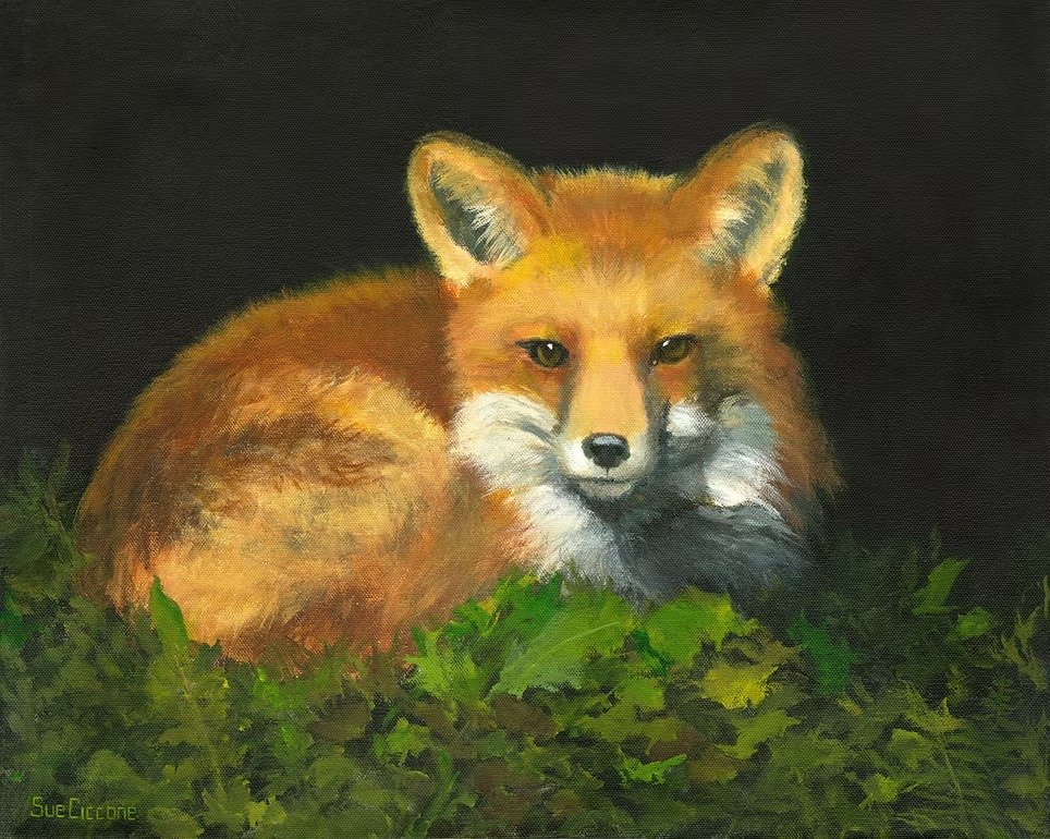 Winter Nap