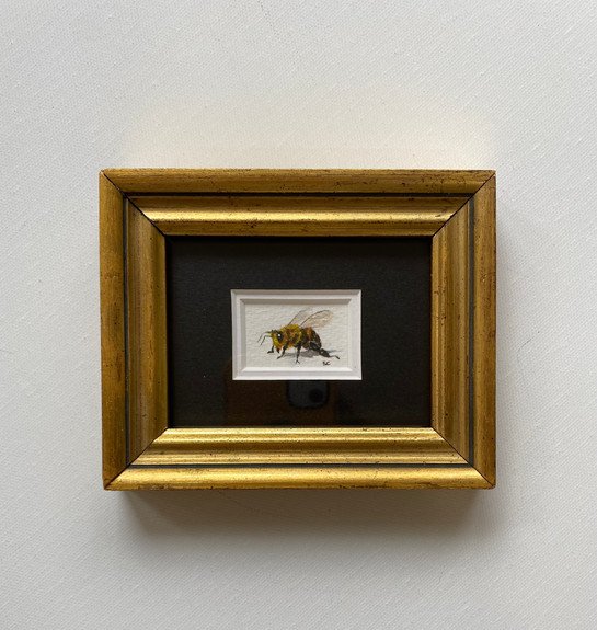 Honey Bee