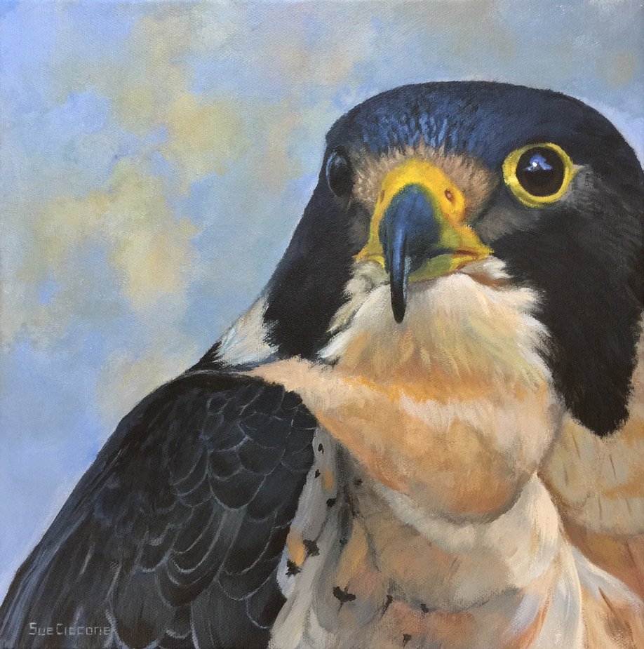 Falcon II