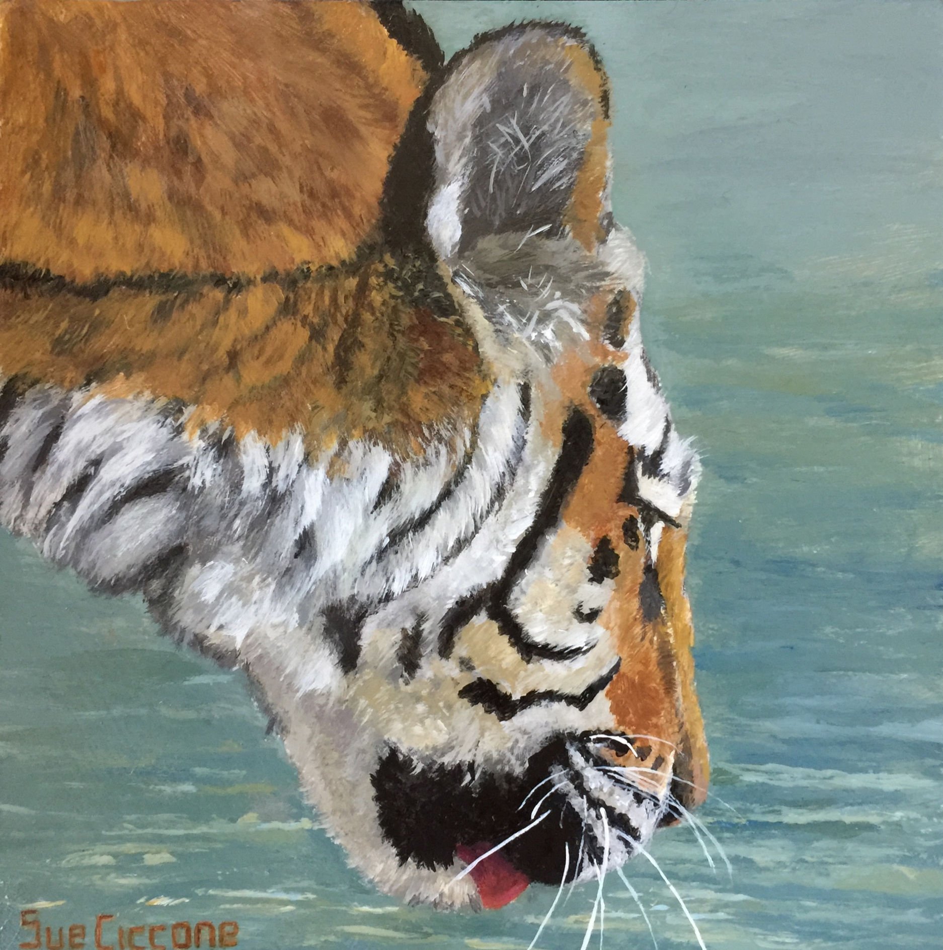Thirsty Tiger