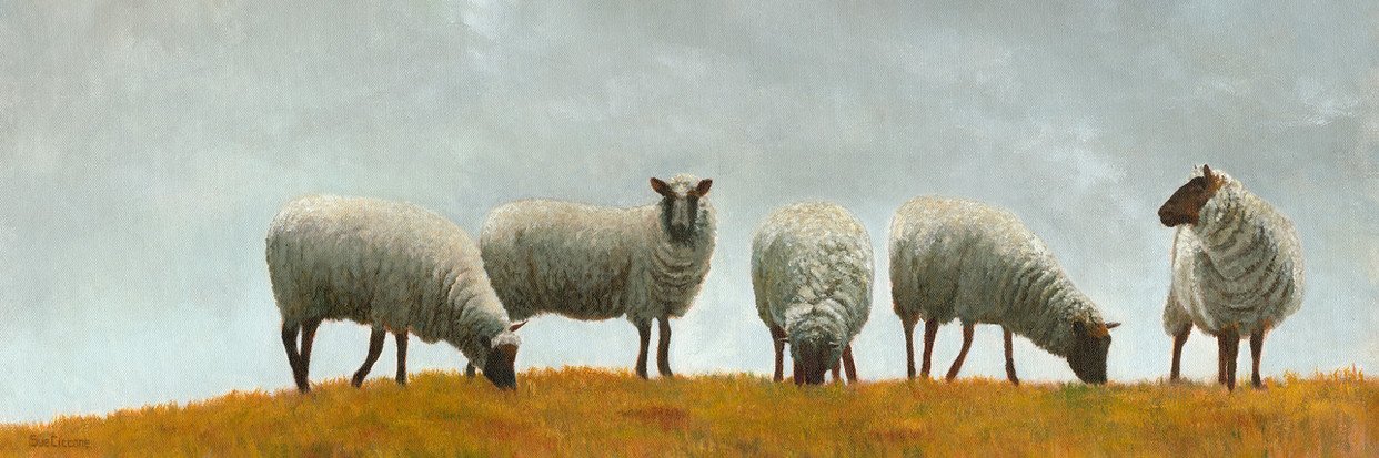 Hilltop Grazers