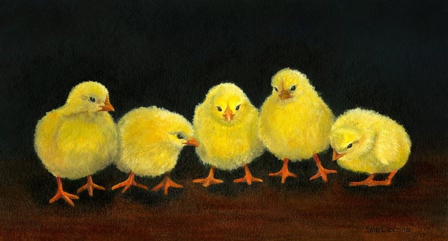 Chick-Chat