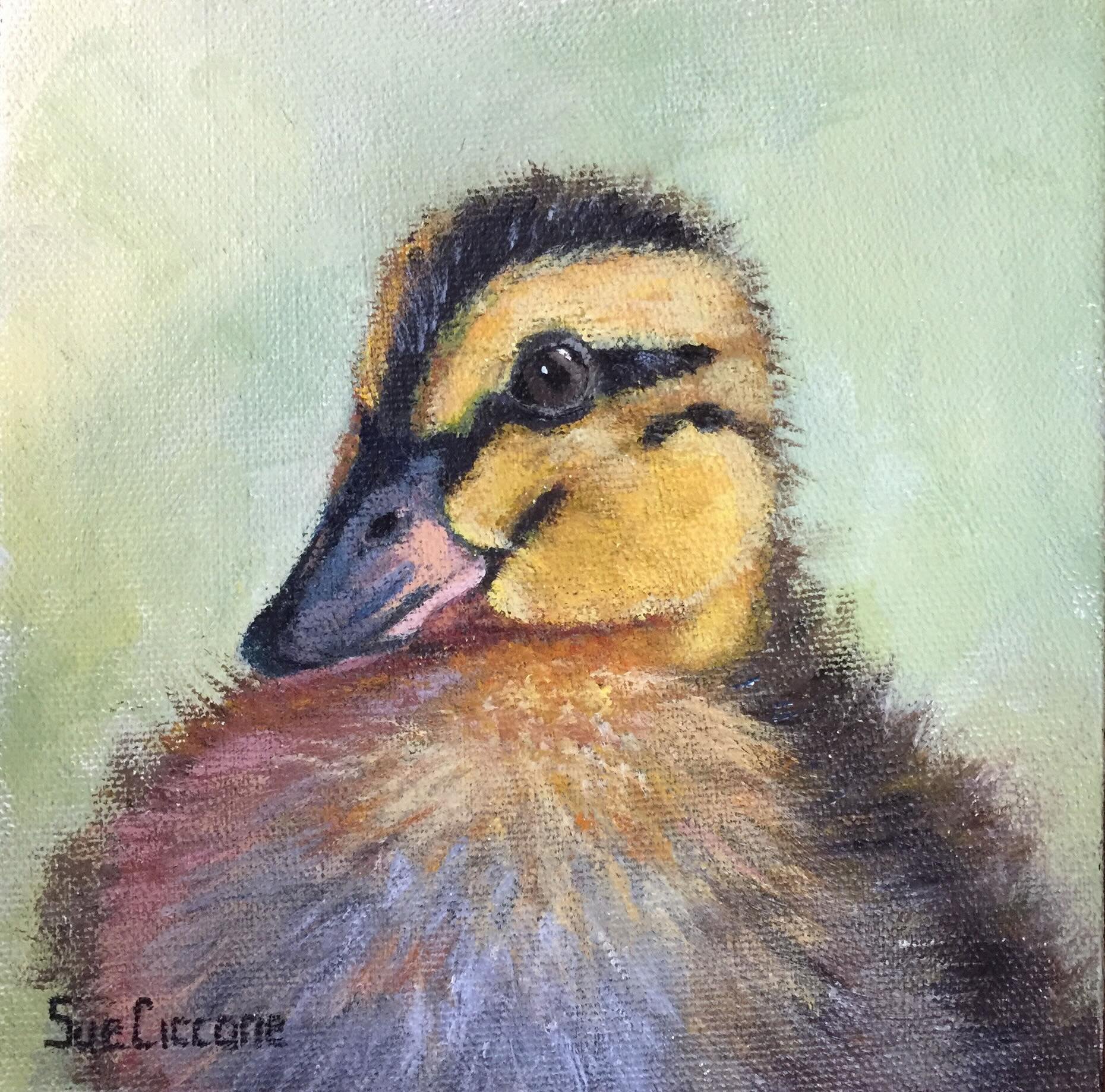 Just Ducky