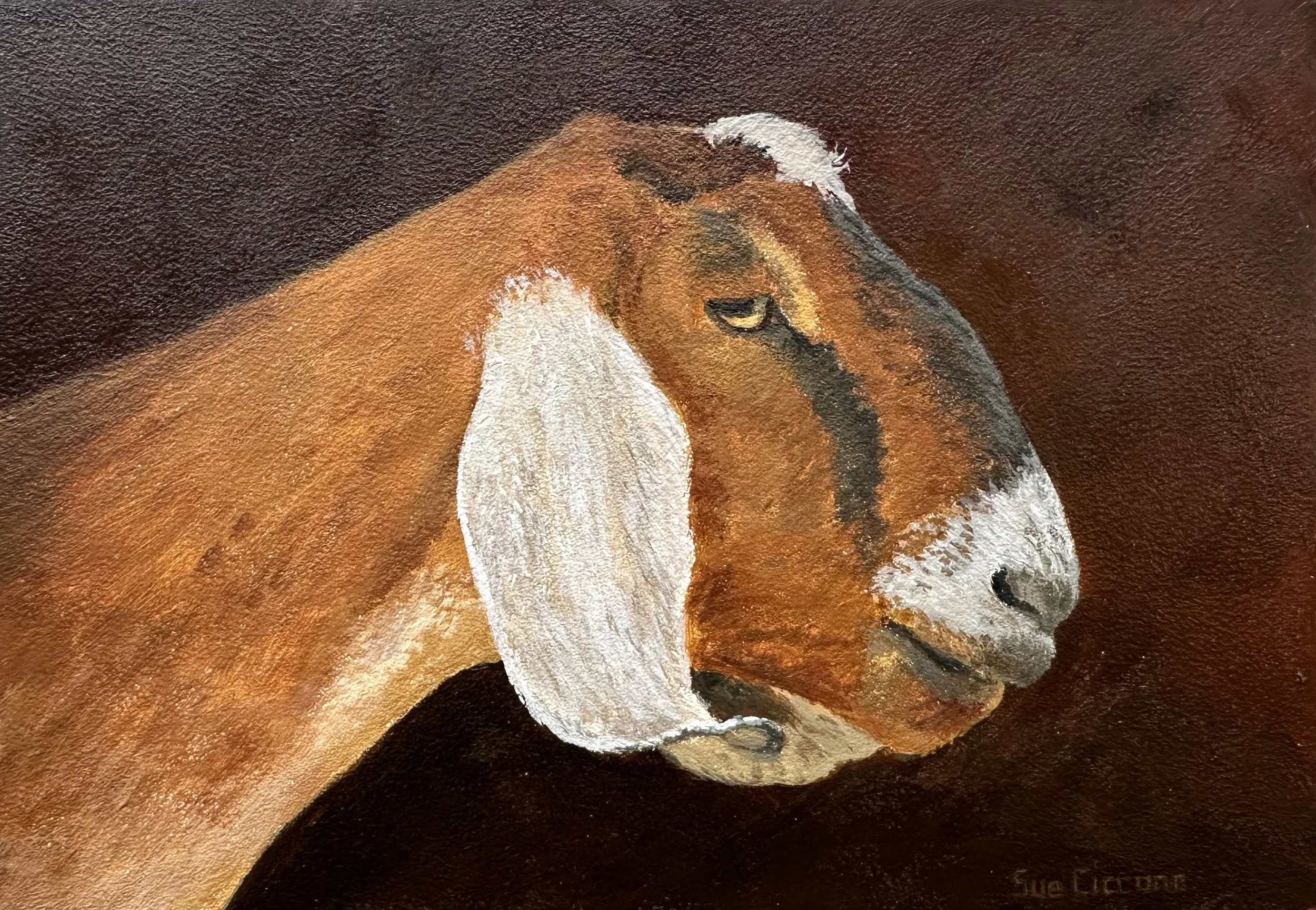 goat - NOBLE GOAT 5X7 $595.jpeg