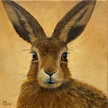 Bun Bun