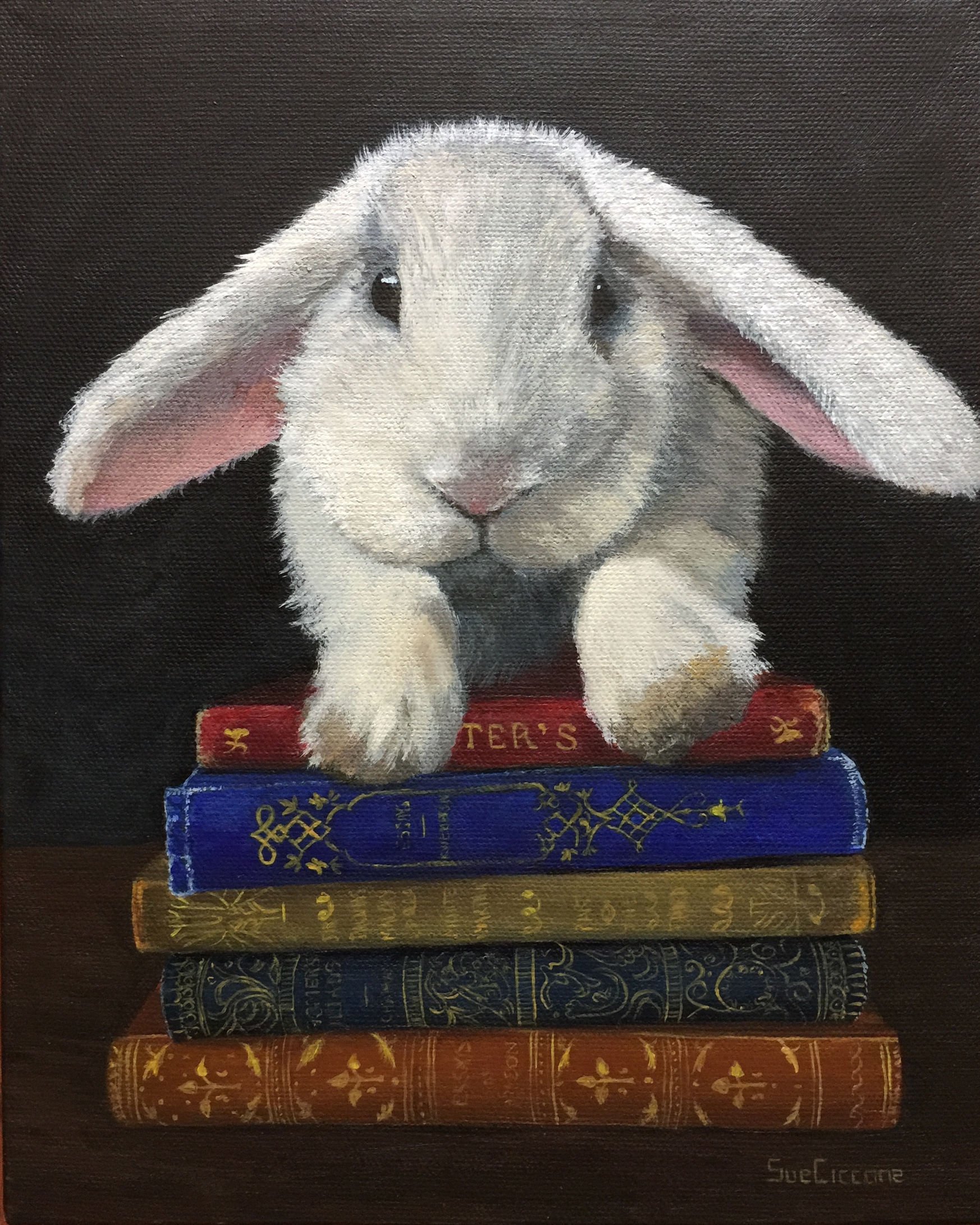 Book Bunny