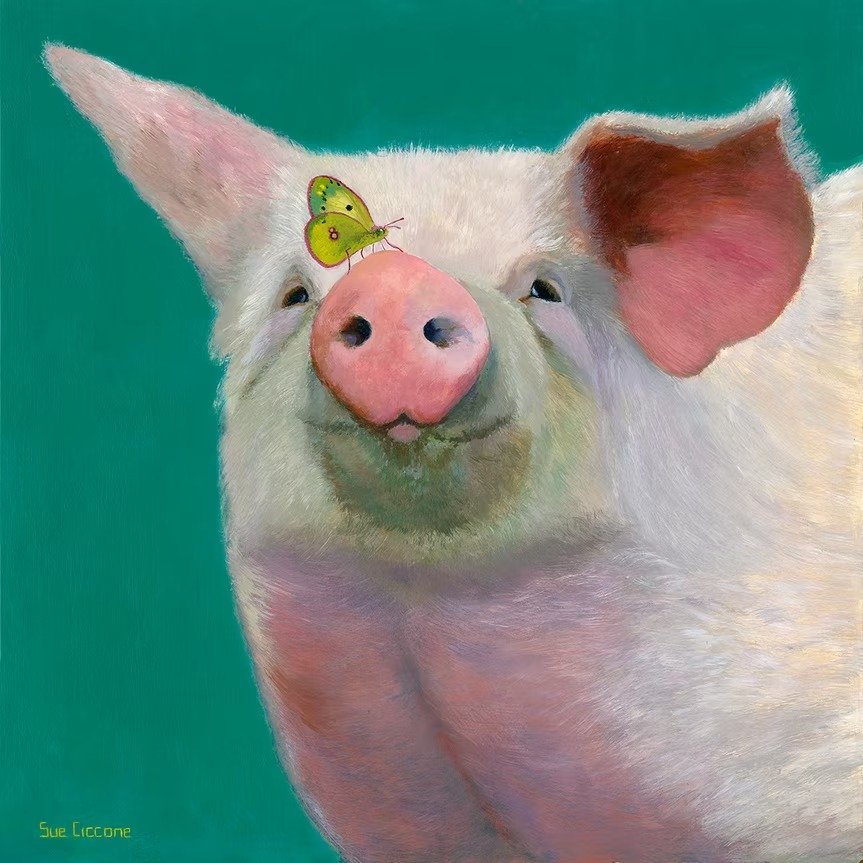 Bahama Pig