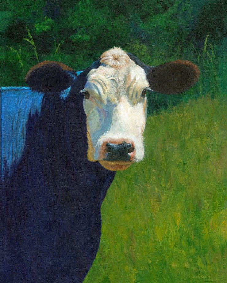 Bella Moo