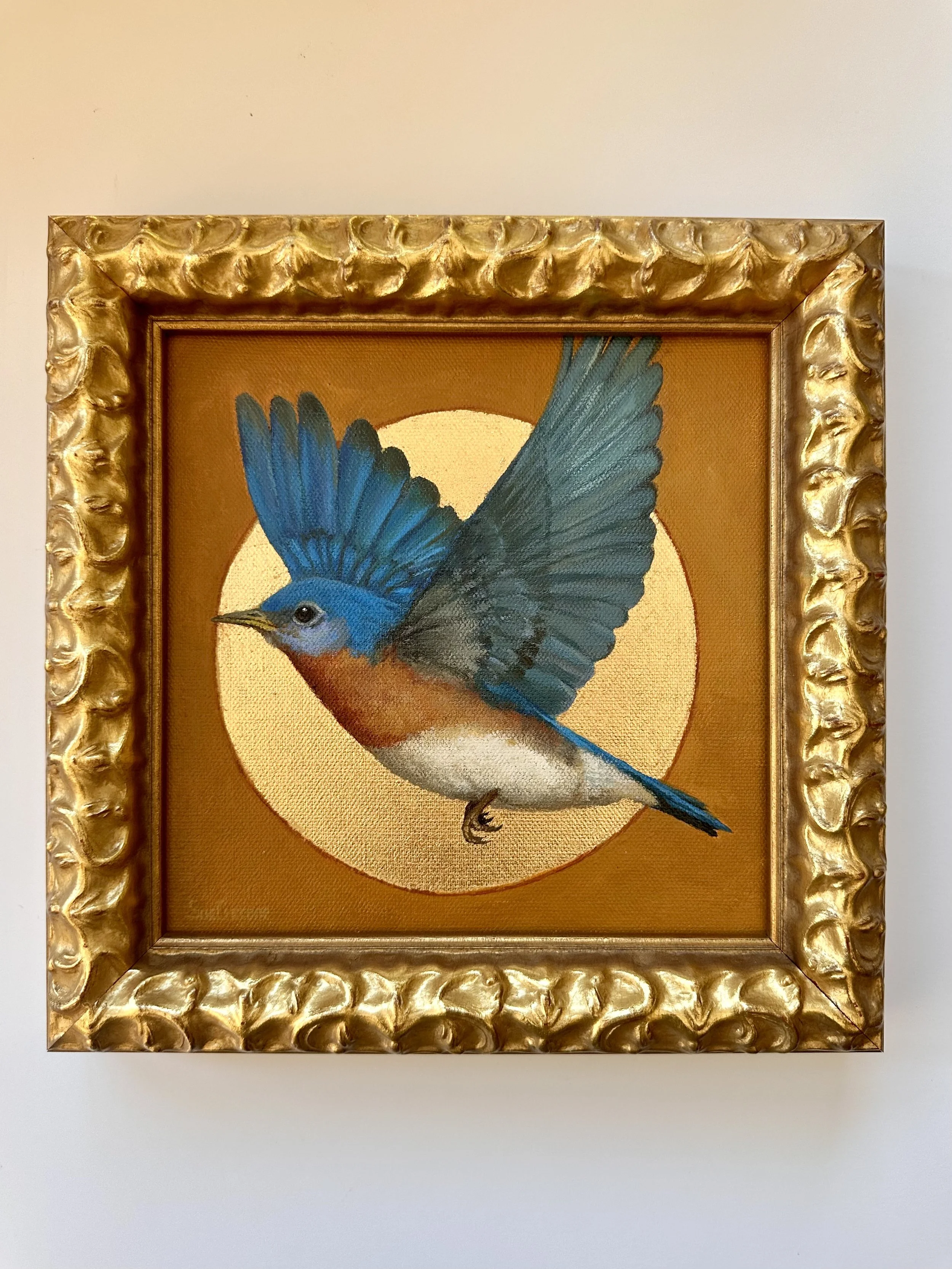 bird - sun seeker framed.jpeg