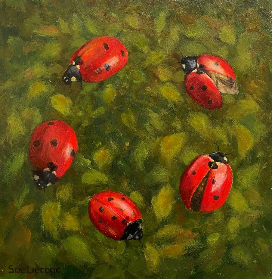 Ladybug Dance