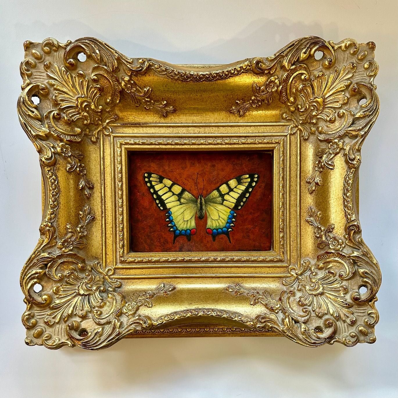 Swallow Tail