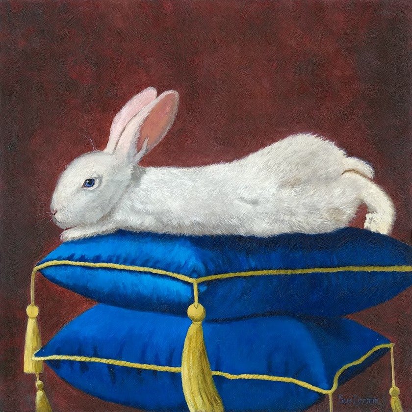 Il Coniglio