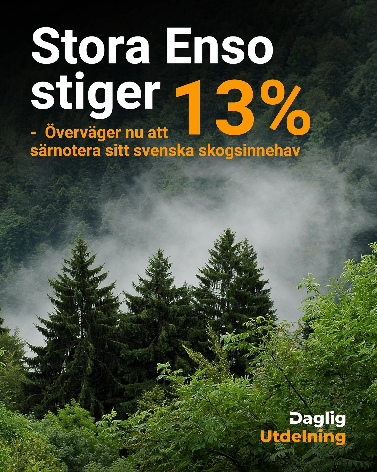 Stora Enso stiger 13% 🌳