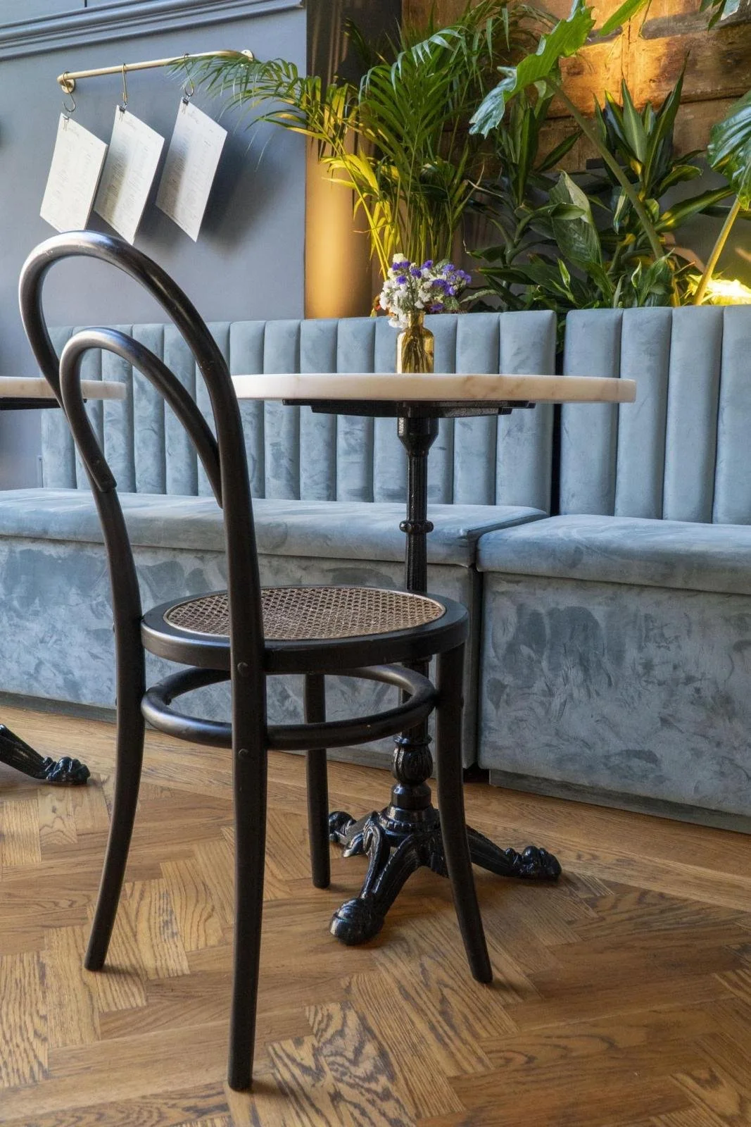 A cafe interior with a small round table, a black chair, a plush blue banquette, and green plants in the background.