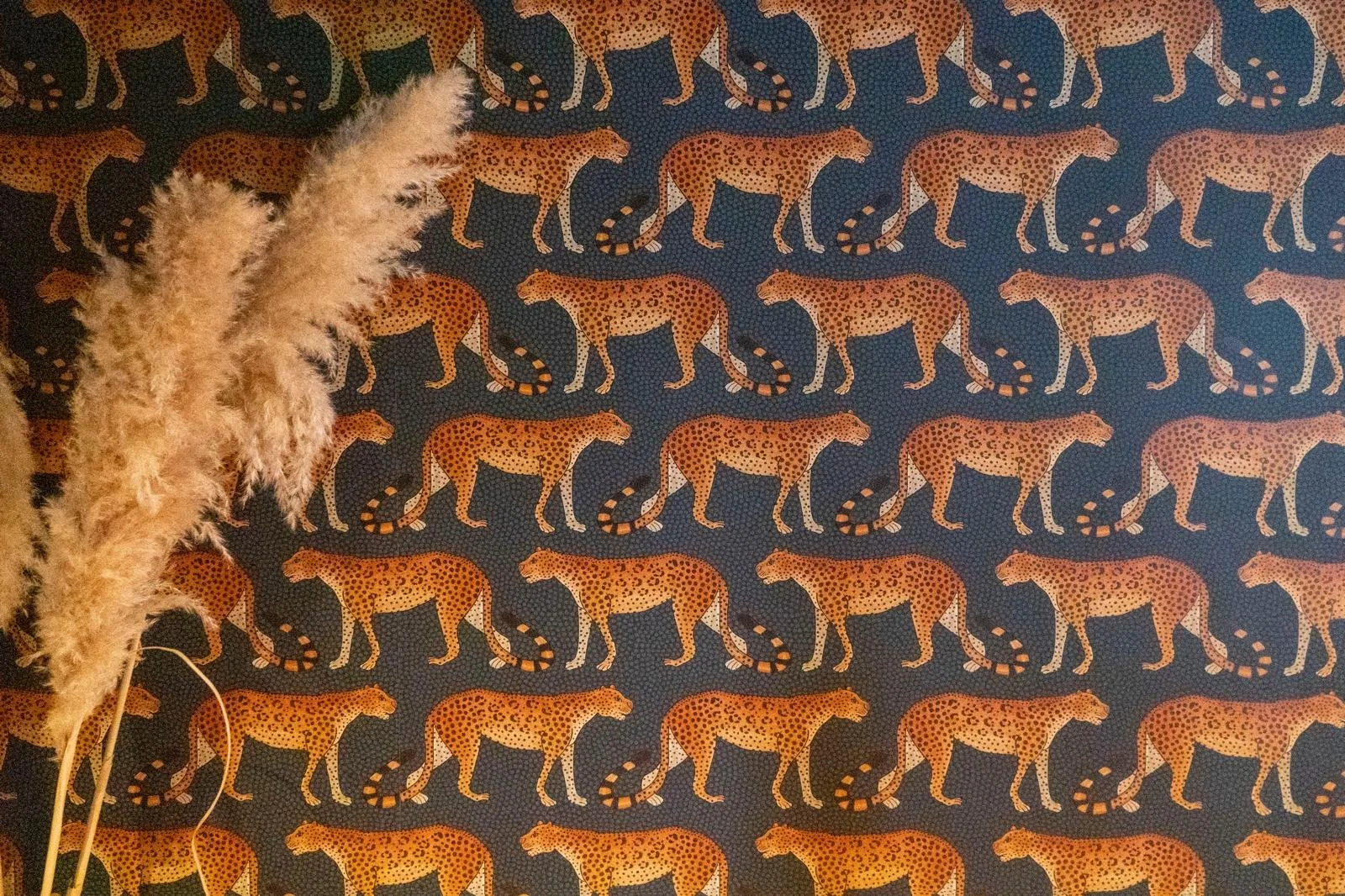 WhatsApp Image 2025-01-09 at 12.04.00 (3).jpeg