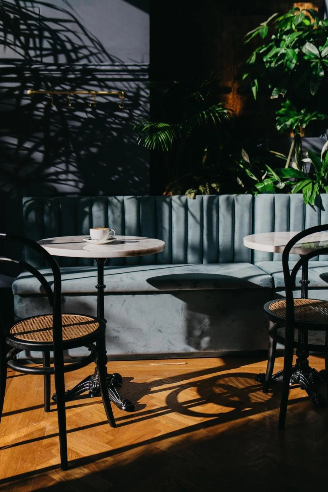 A cozy cafe corner with a marble-topped colorful table and a white cup, surrounded by black chairs, a plush blue sofa, and green plants with shadows cast on the wall and floor.