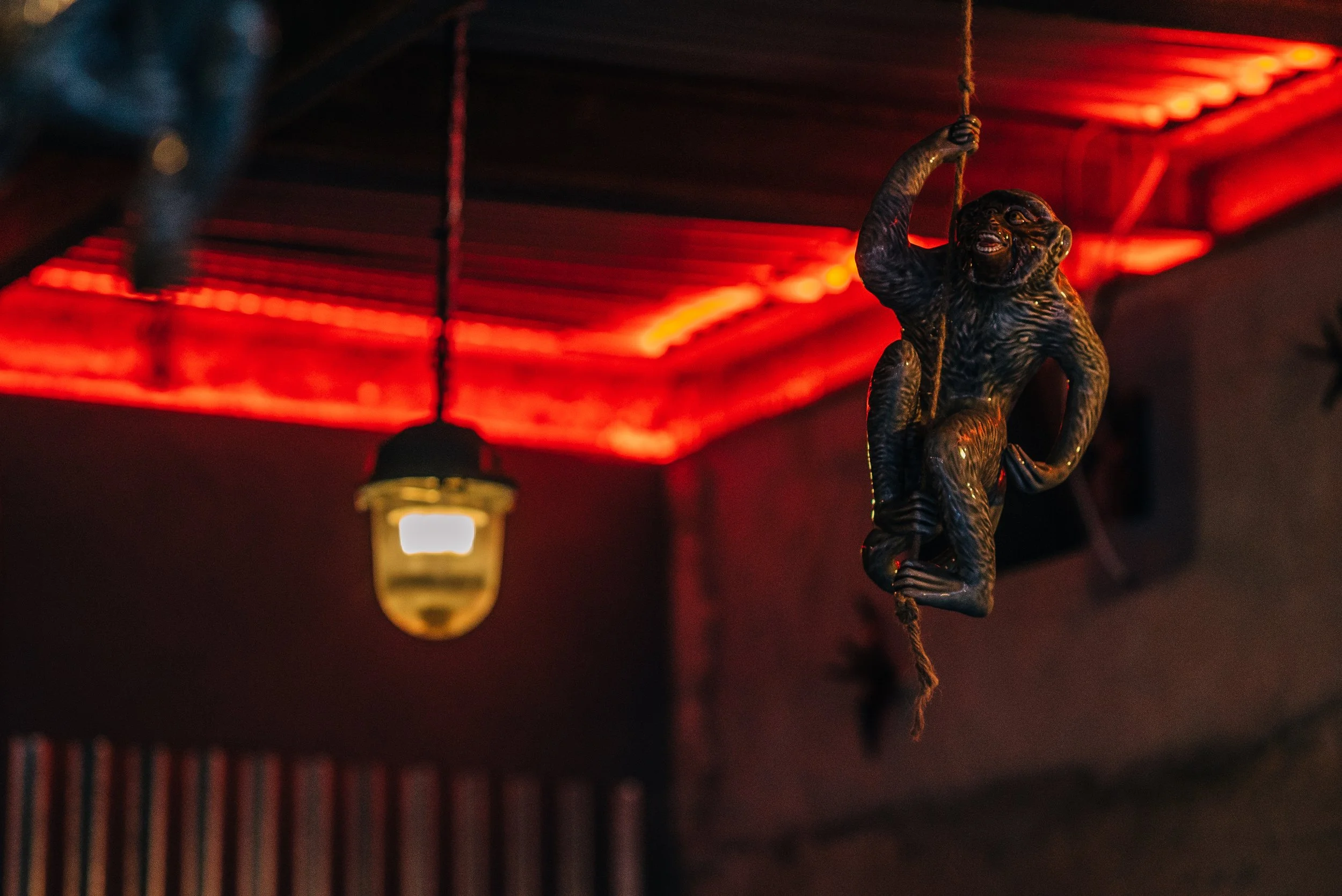 A decorative sculpture of a monkey hanging from a rope inside a dimly lit room with red lighting and a hanging light fixture.