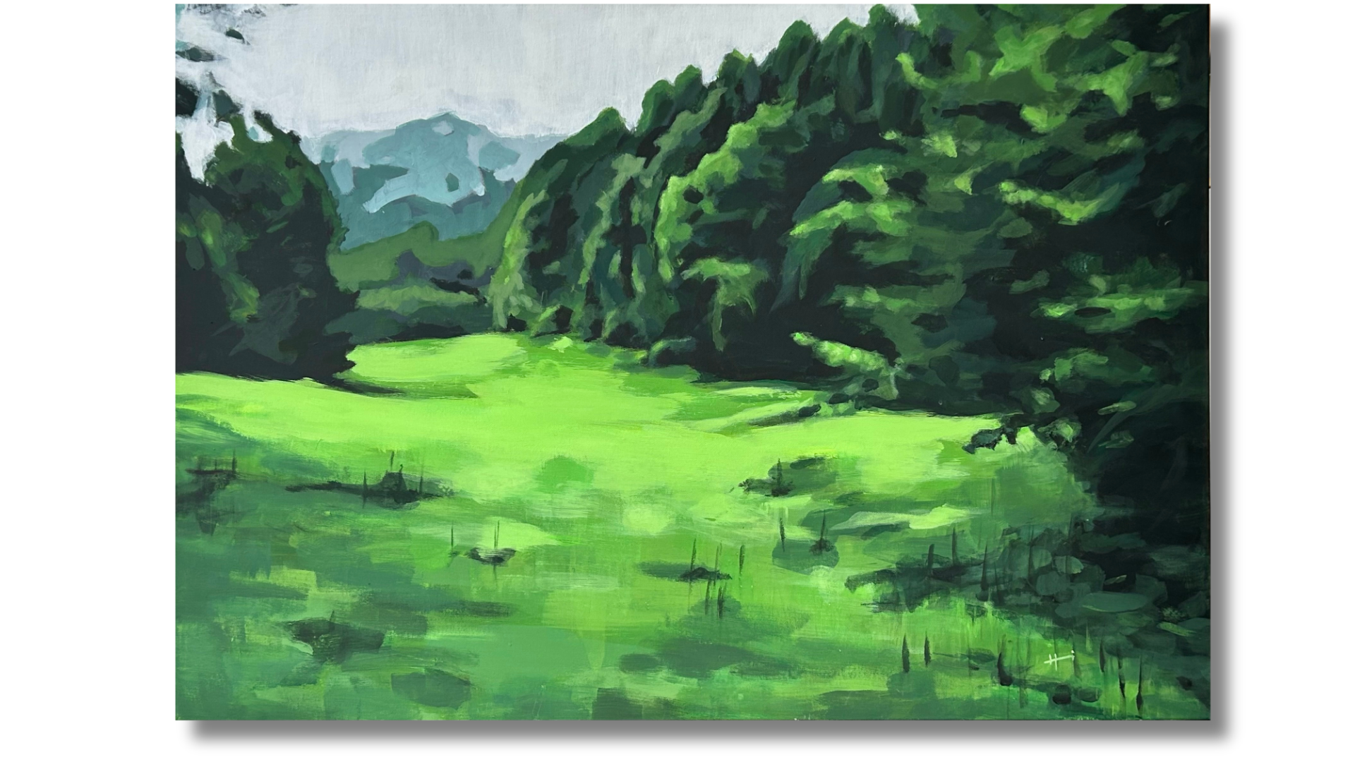 Grüne Wiese, Wald, Ruhe