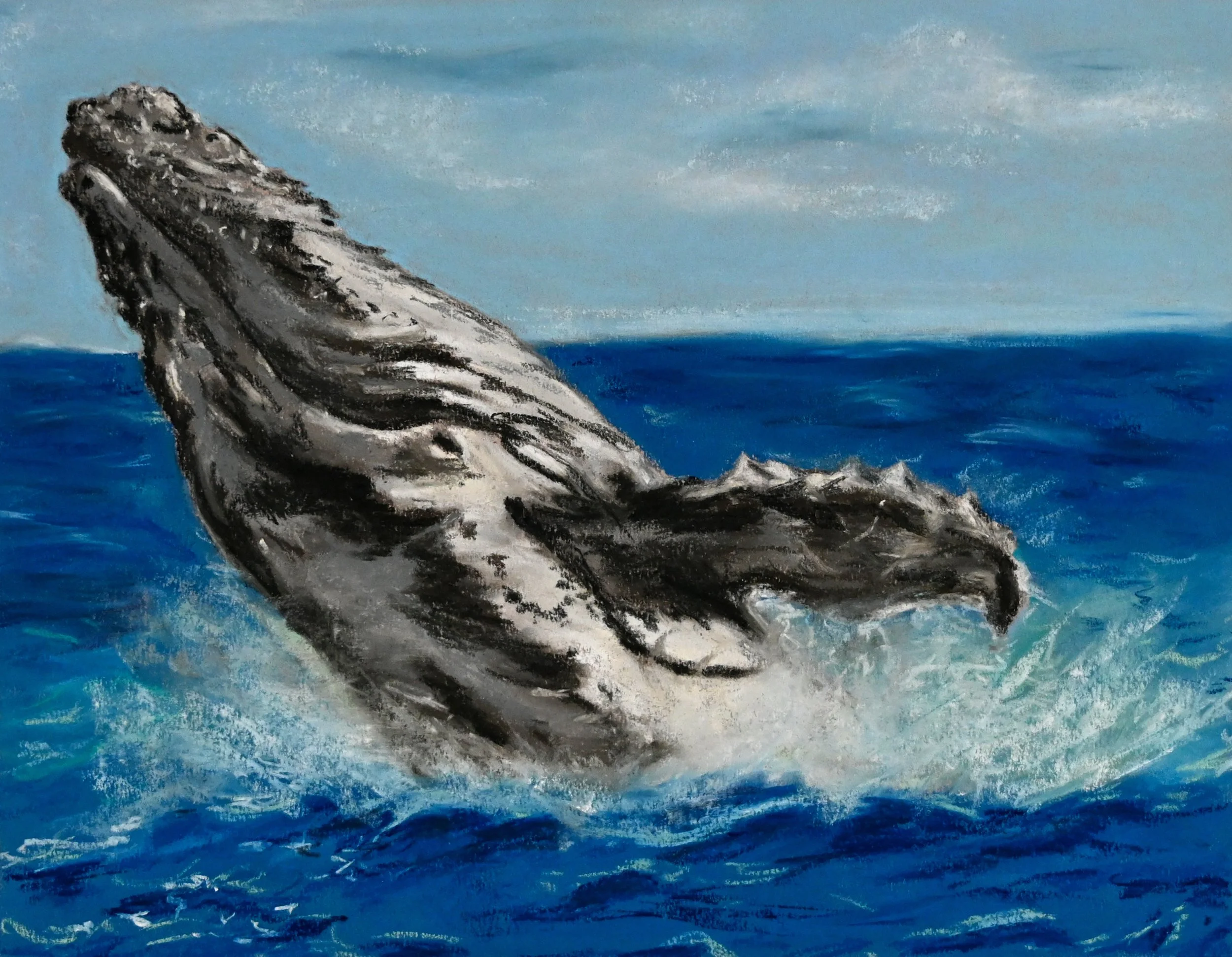 Humpback Whale.JPG