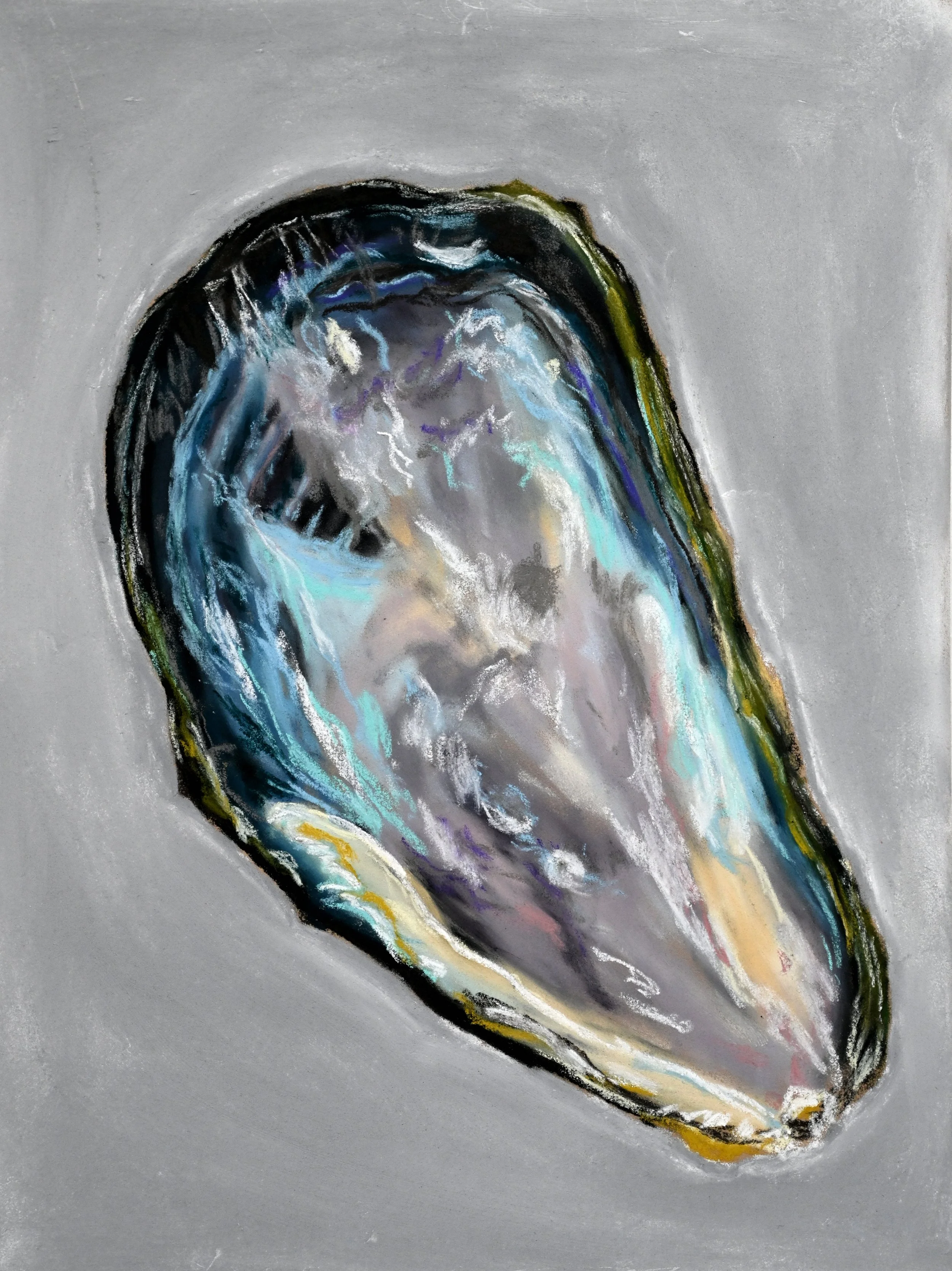 Mussel Shell no. 1.JPG