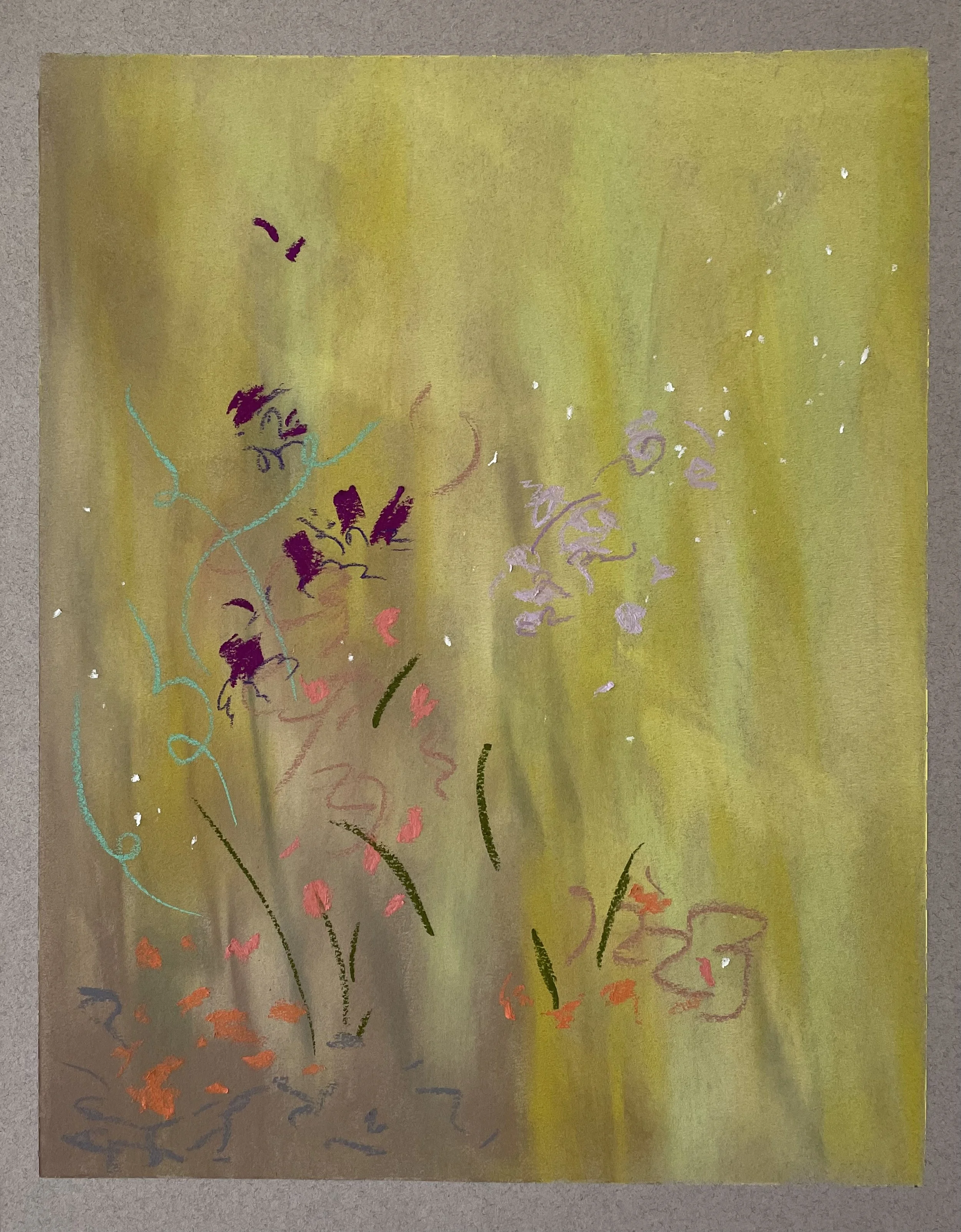 Garden no. 1.jpg