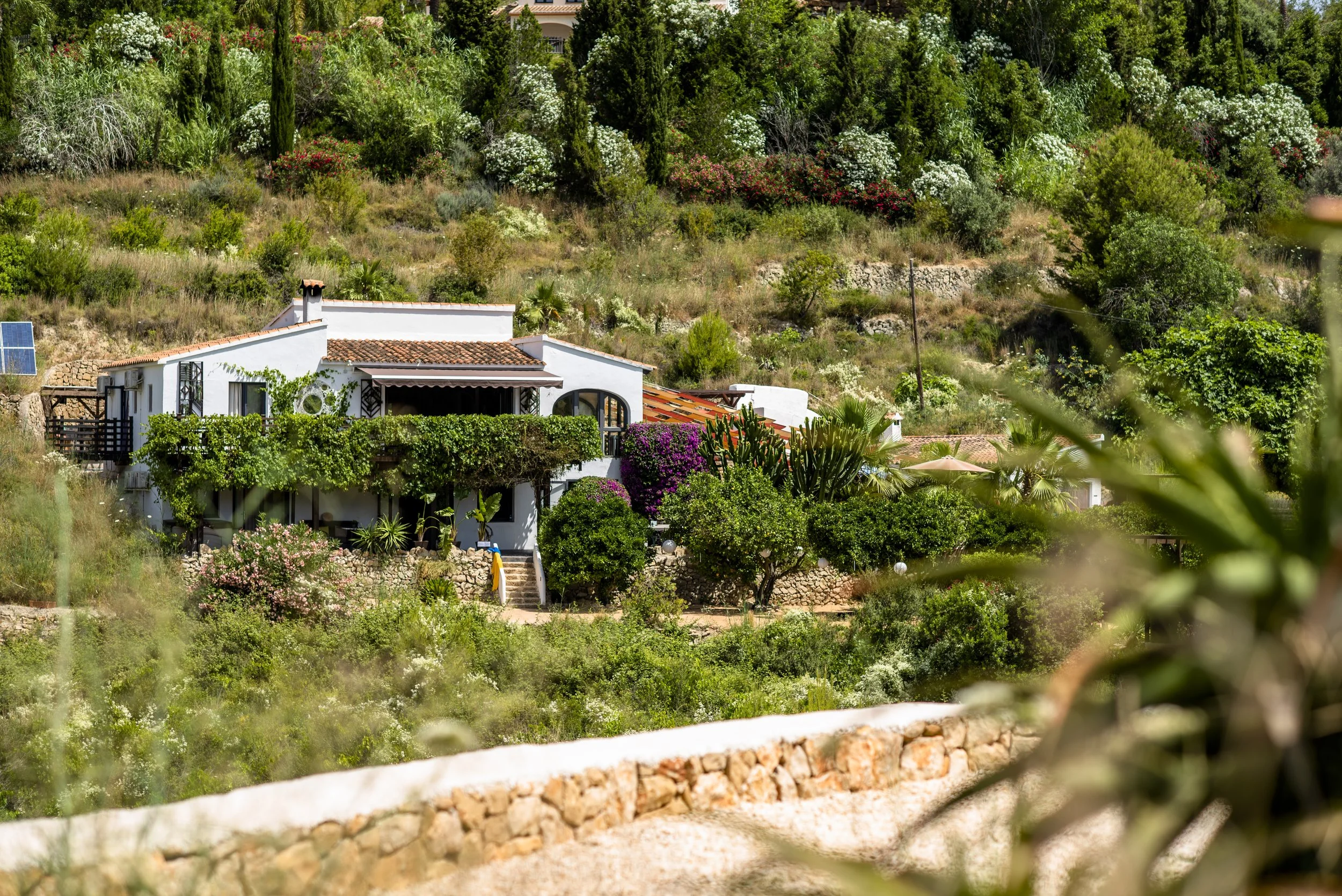 Ext_olta_vista_june_2022__055 copy.jpg