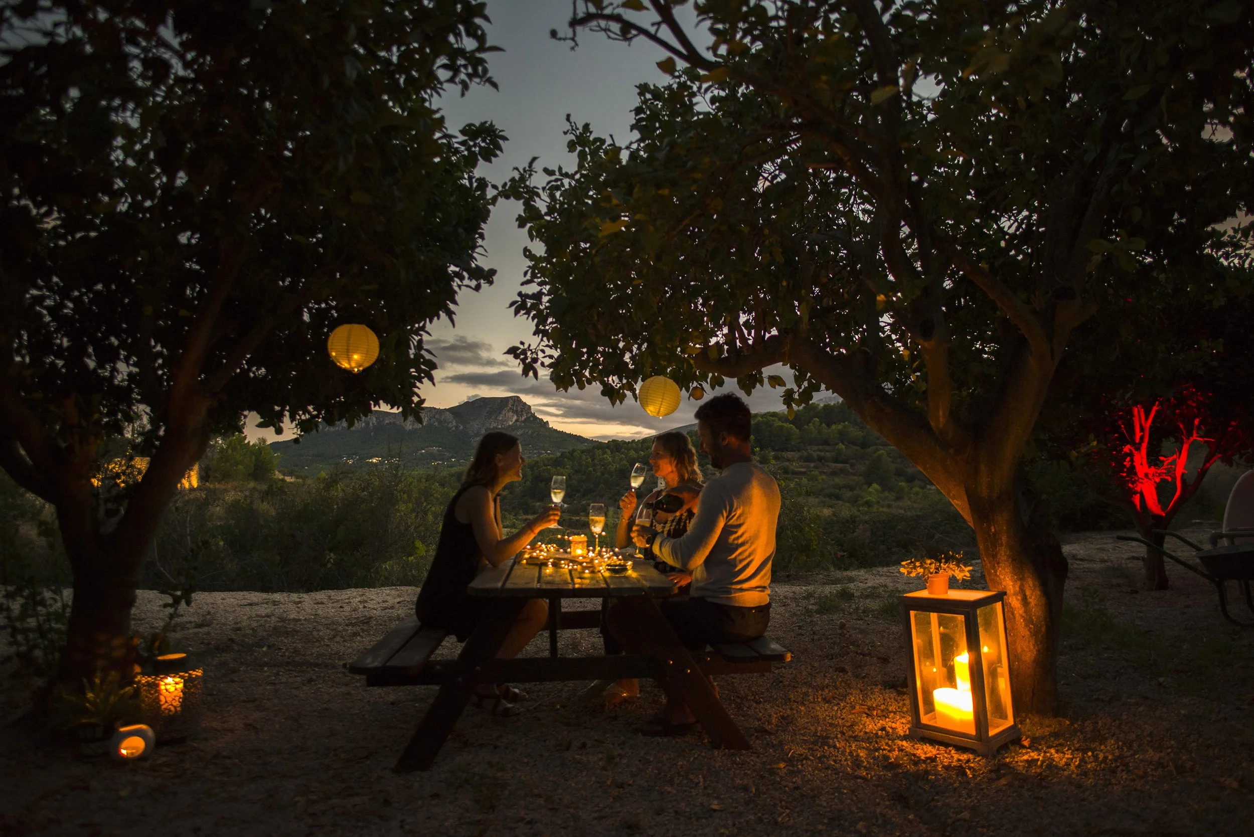 orchard olta_vista_068.jpg