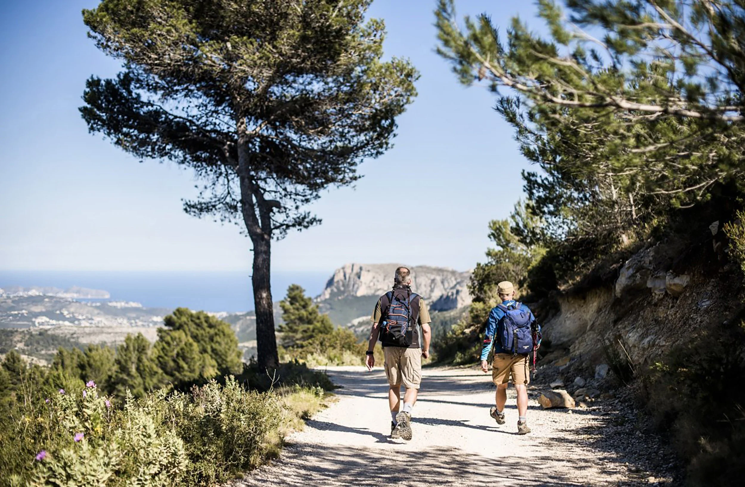 Local_Bernia_localwalks.jpg