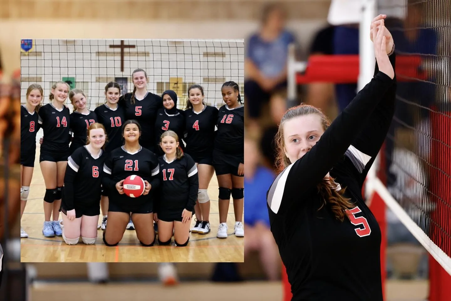 Shoutout to our Volleyball team for an awesome season. We are so proud of these ladies and their hard work. Way to go!🦁 #togetherweroar