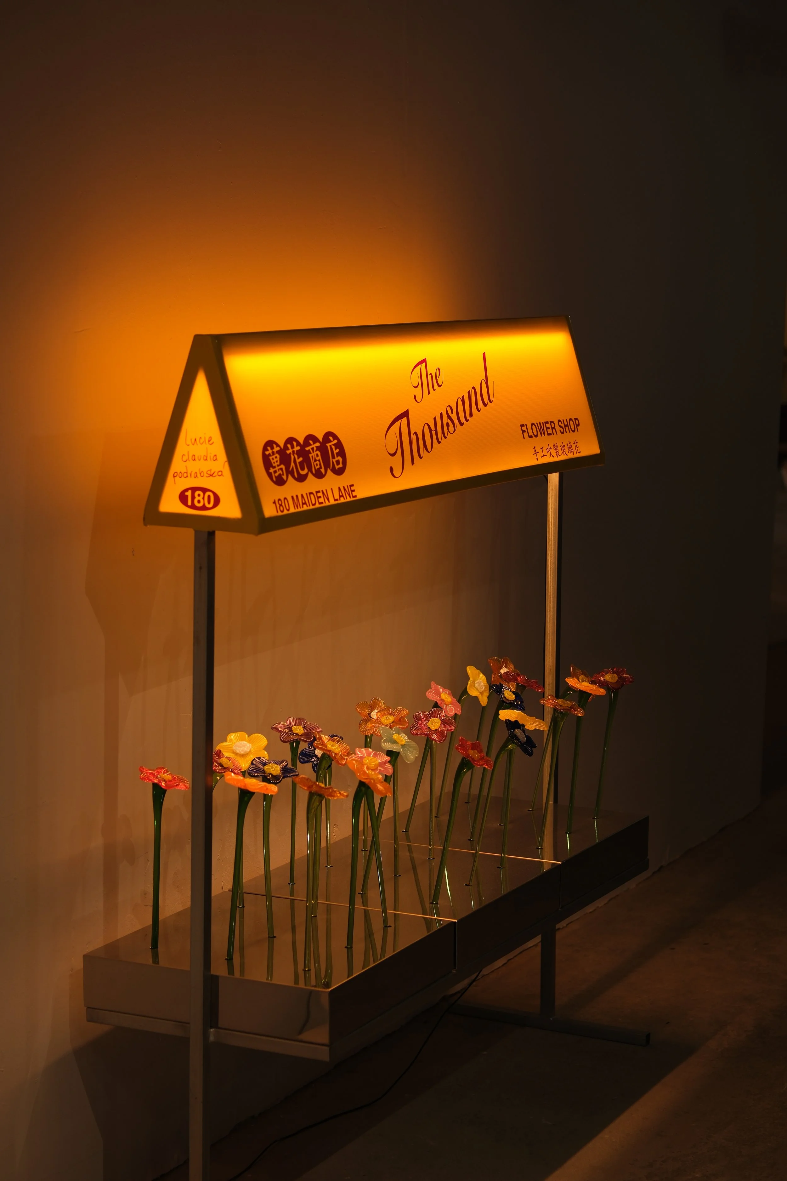 Tang Thousand Flower Shop, New York 2025