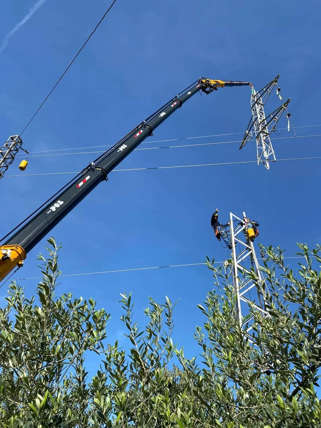 Lineman working on a tall electricity transmission tower while using a crane to lift equipment, with green bushes in the foreground and a clear blue sky in the background.