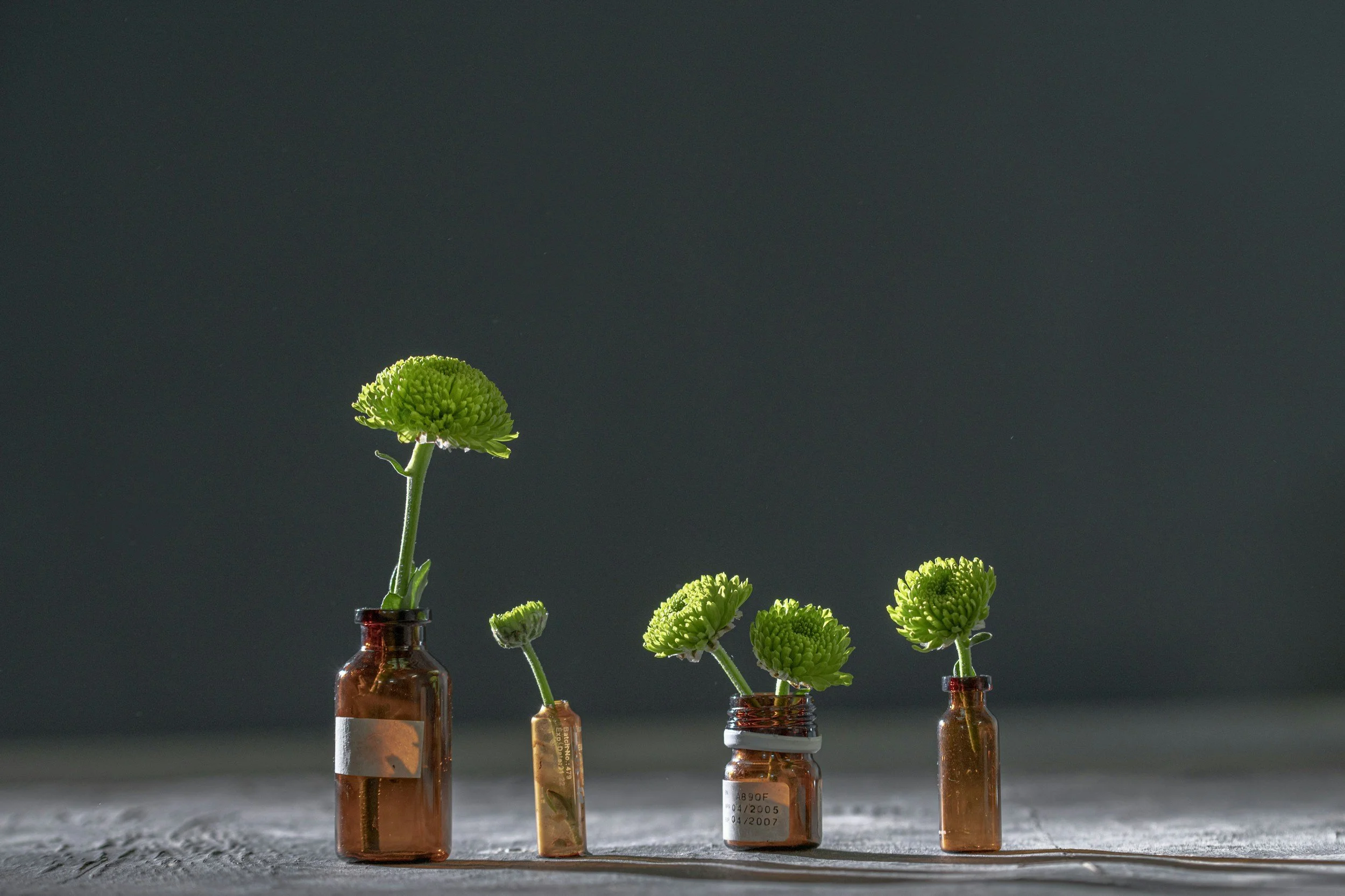 Ancient Roots, Modern Medicine: How Two Healing Traditions Work Together