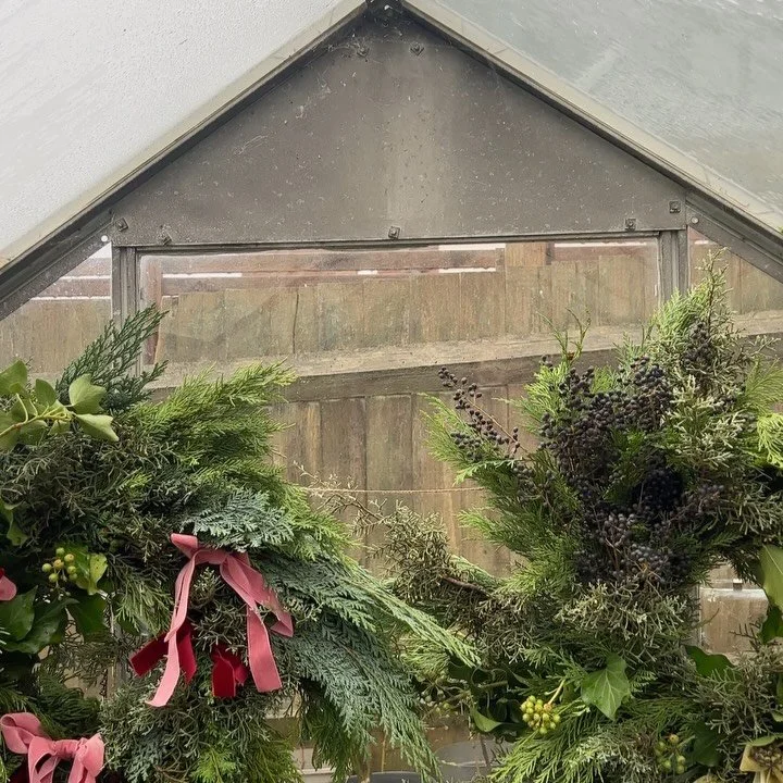 Wreaths in the greenhouse 🎄