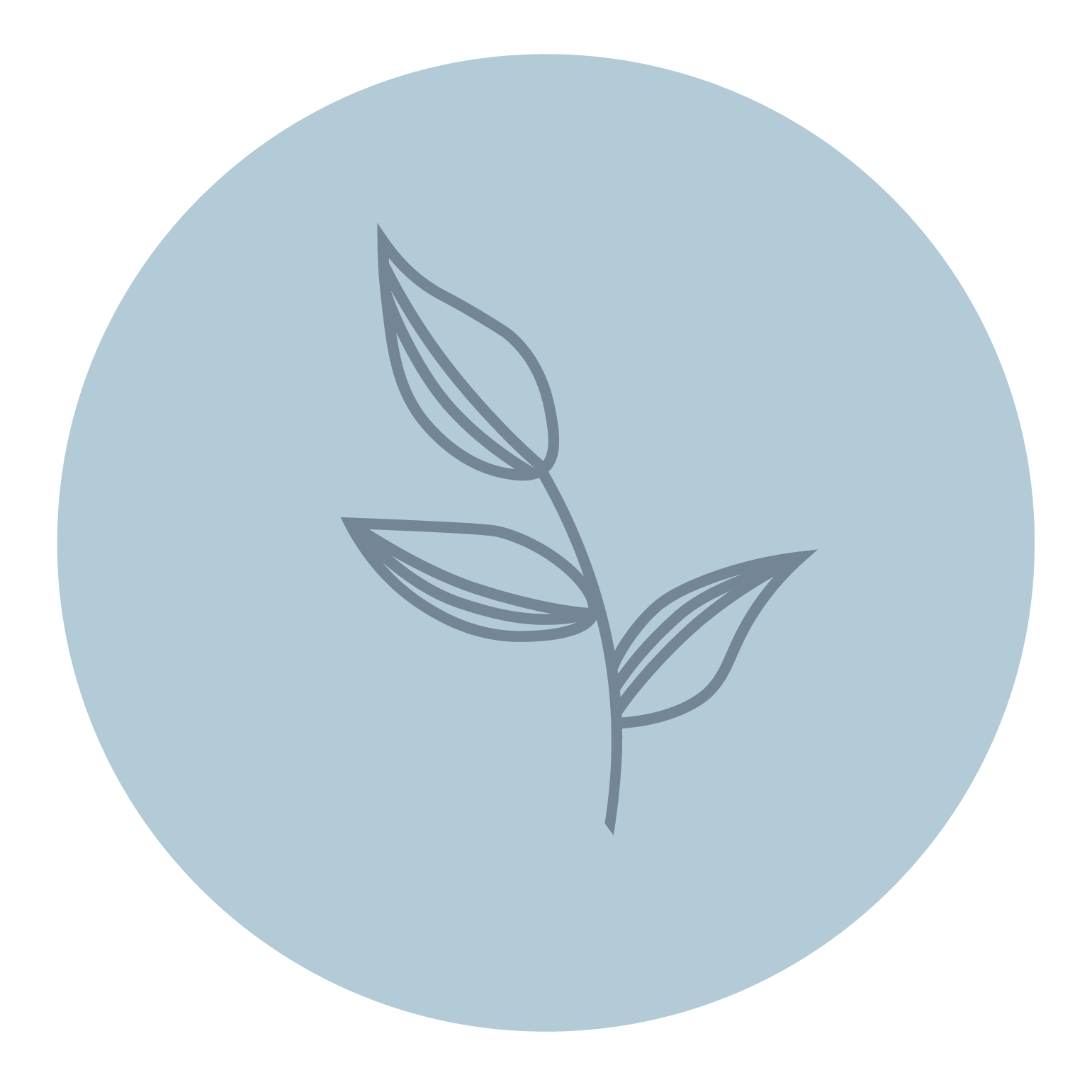 Hand-drawn botanical brand illustrations